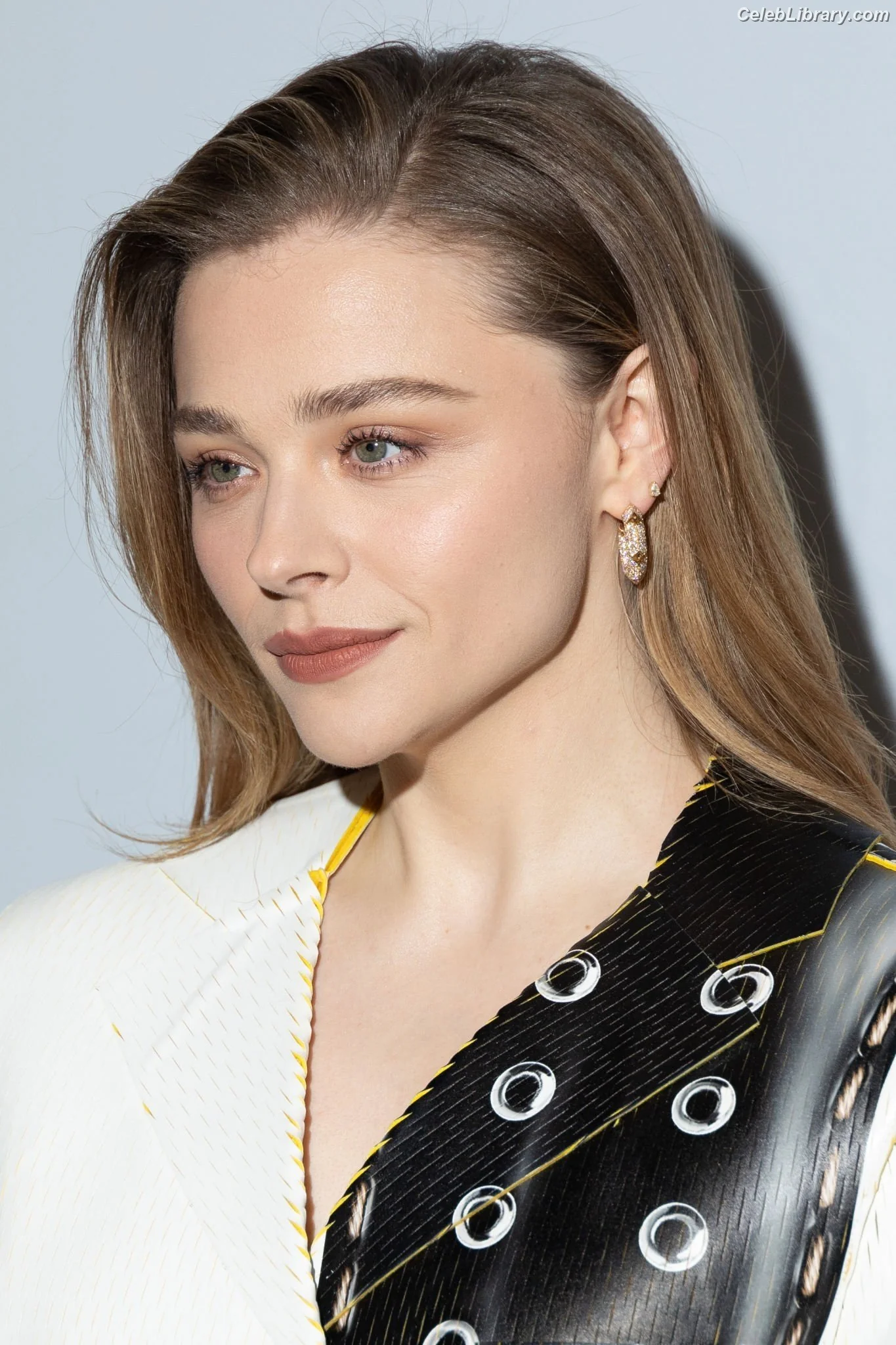 Chloë Grace Moretz photo 20 of 1748