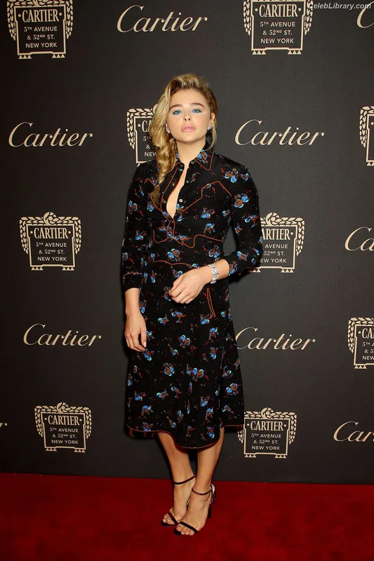 Chloë Grace Moretz photo 9 of 1749