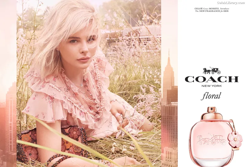 Chloë Grace Moretz photo 15 of 1749