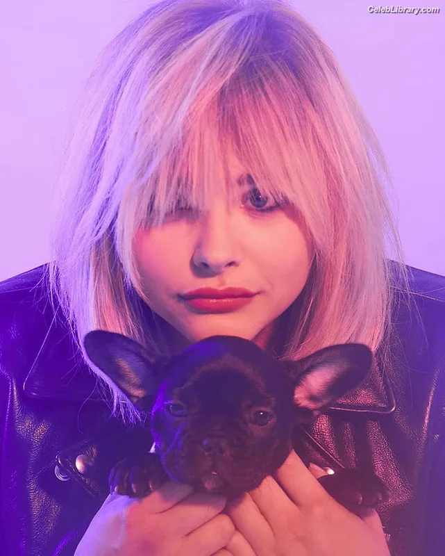 Chloë Grace Moretz photo 17 of 1749