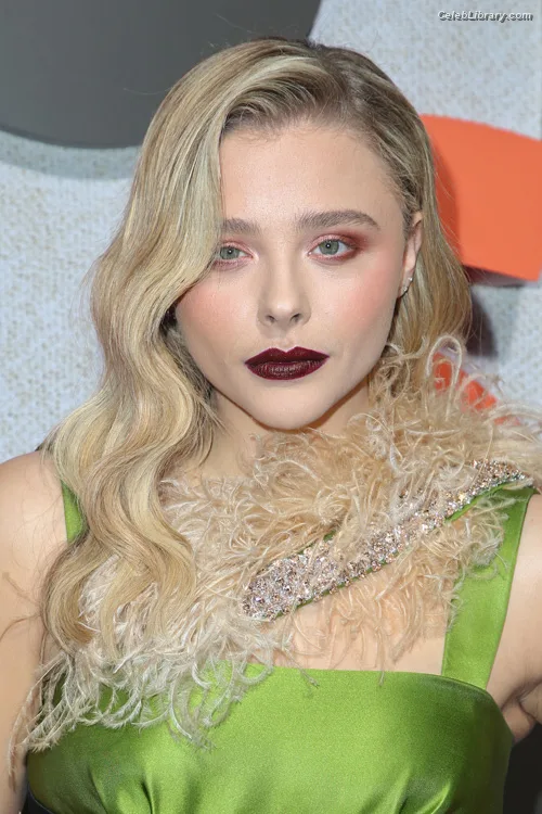 Chloë Grace Moretz photo 23 of 1749