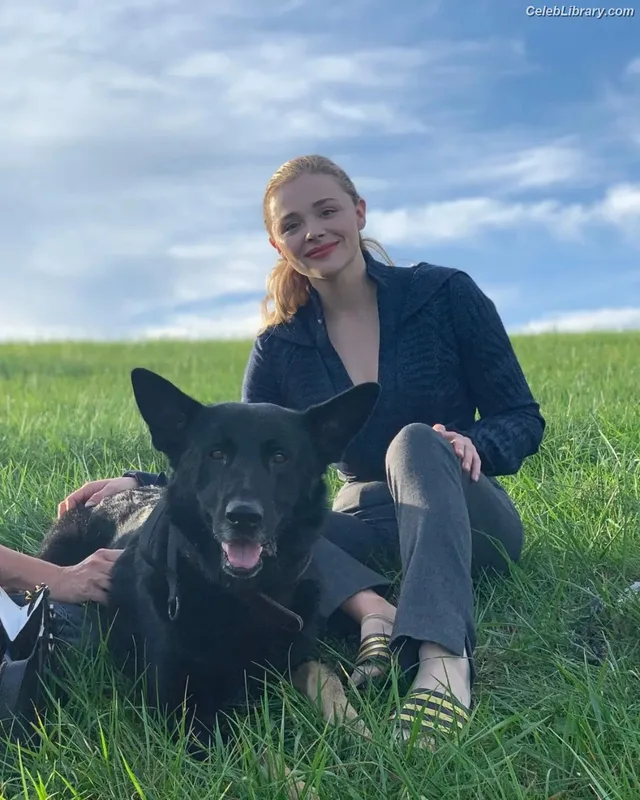 Chloë Grace Moretz photo 4 of 1749