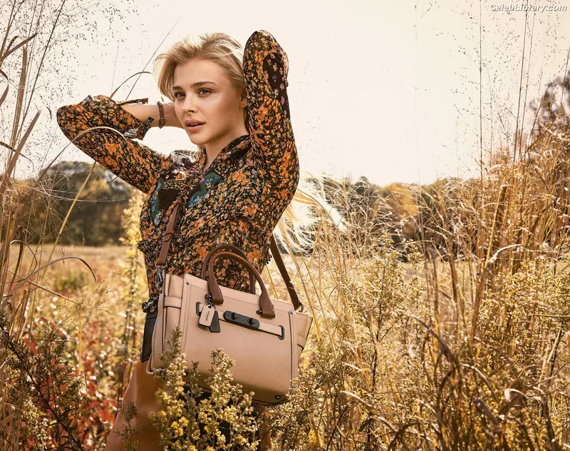 Chloë Grace Moretz photo 1 of 1749