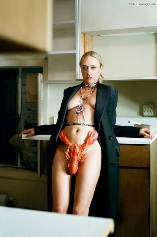 Chloë Sevigny photo 5 of 83