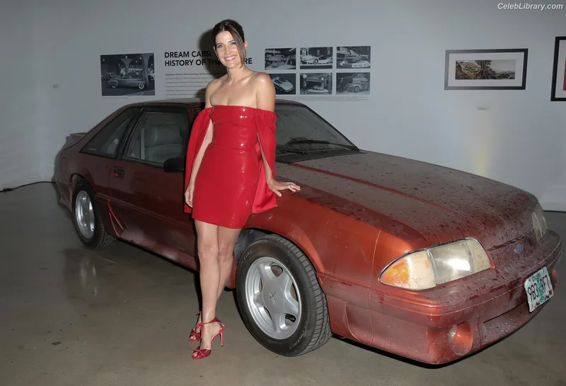 Cobie Smulders photo 17 of 145