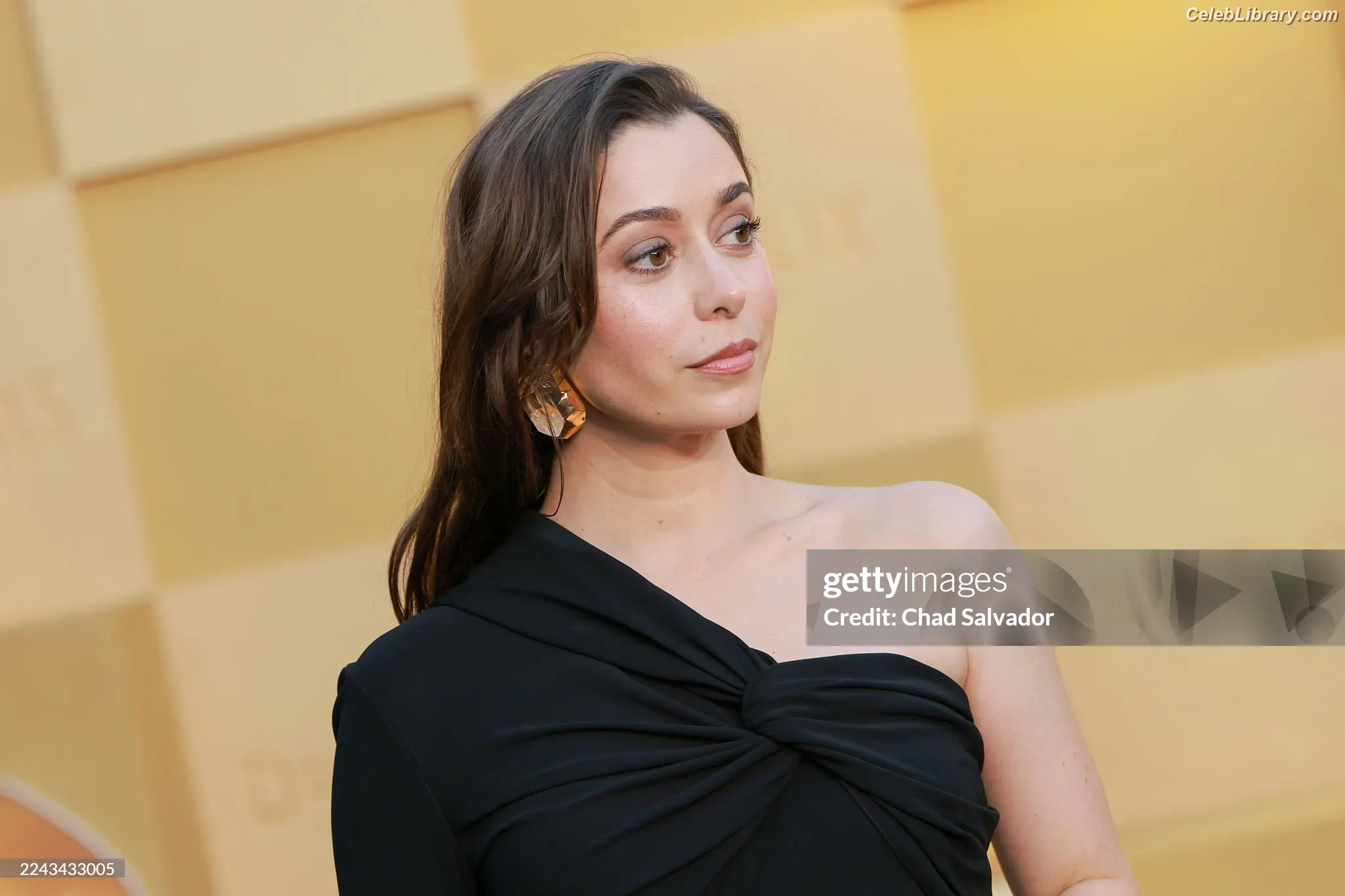 Cristin Milioti photo 8 of 335