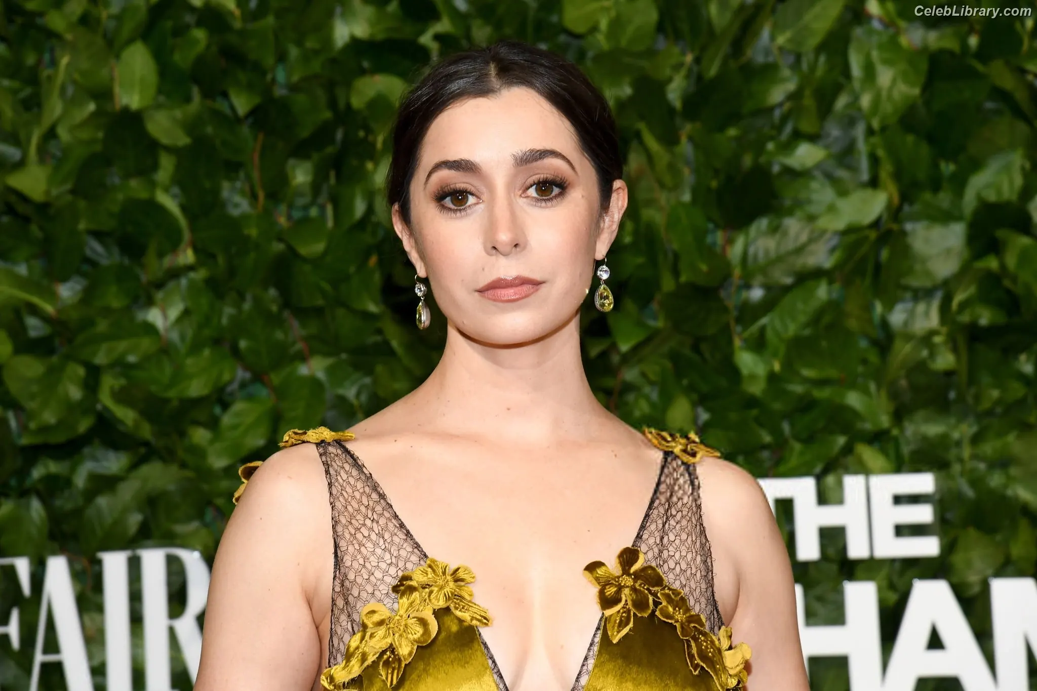 Cristin Milioti photo 3 of 335