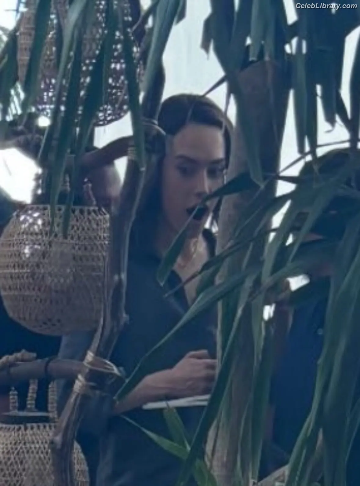 Daisy Ridley photo 15 of 1218