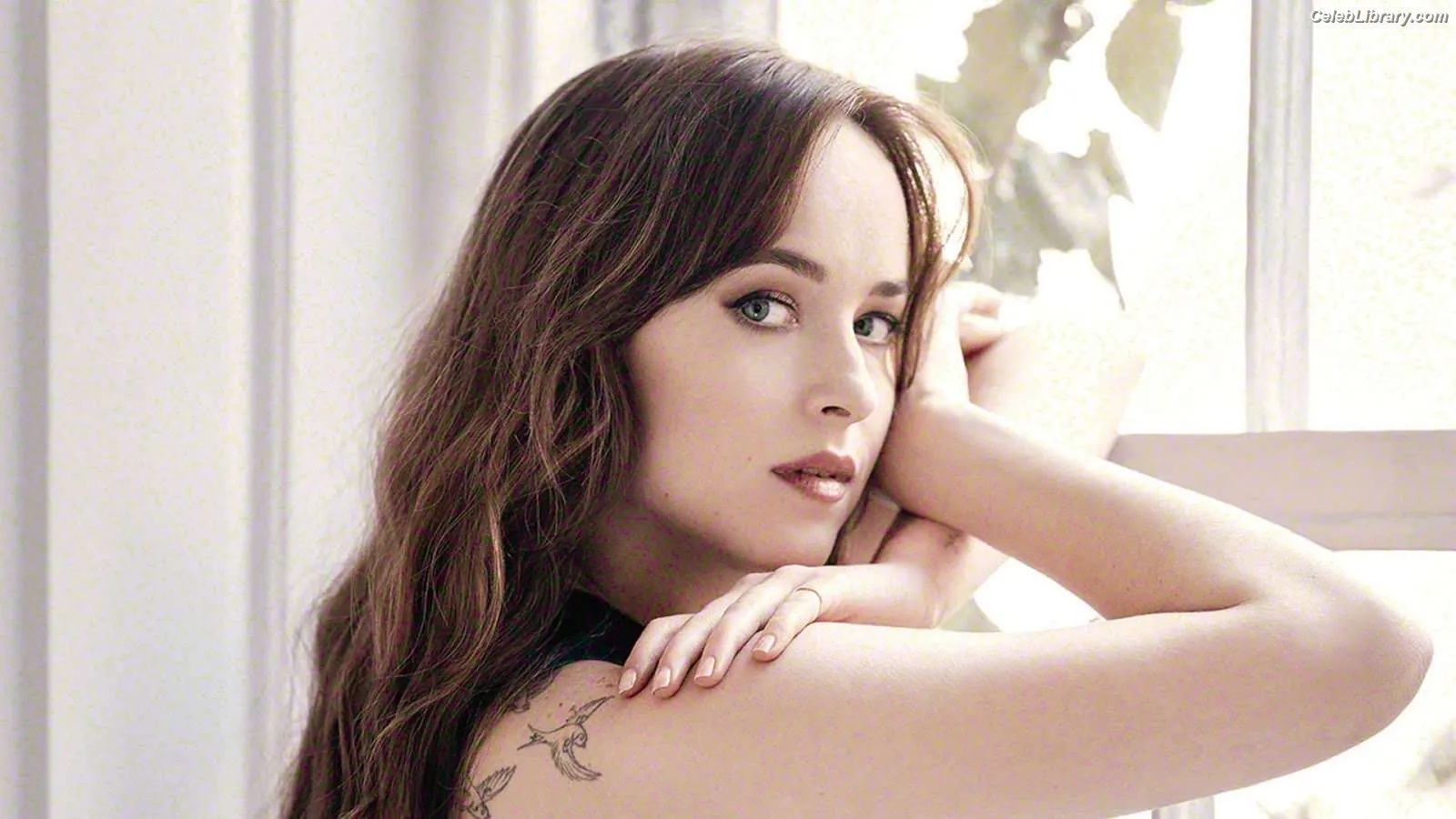 Dakota Johnson photo 13 of 1131