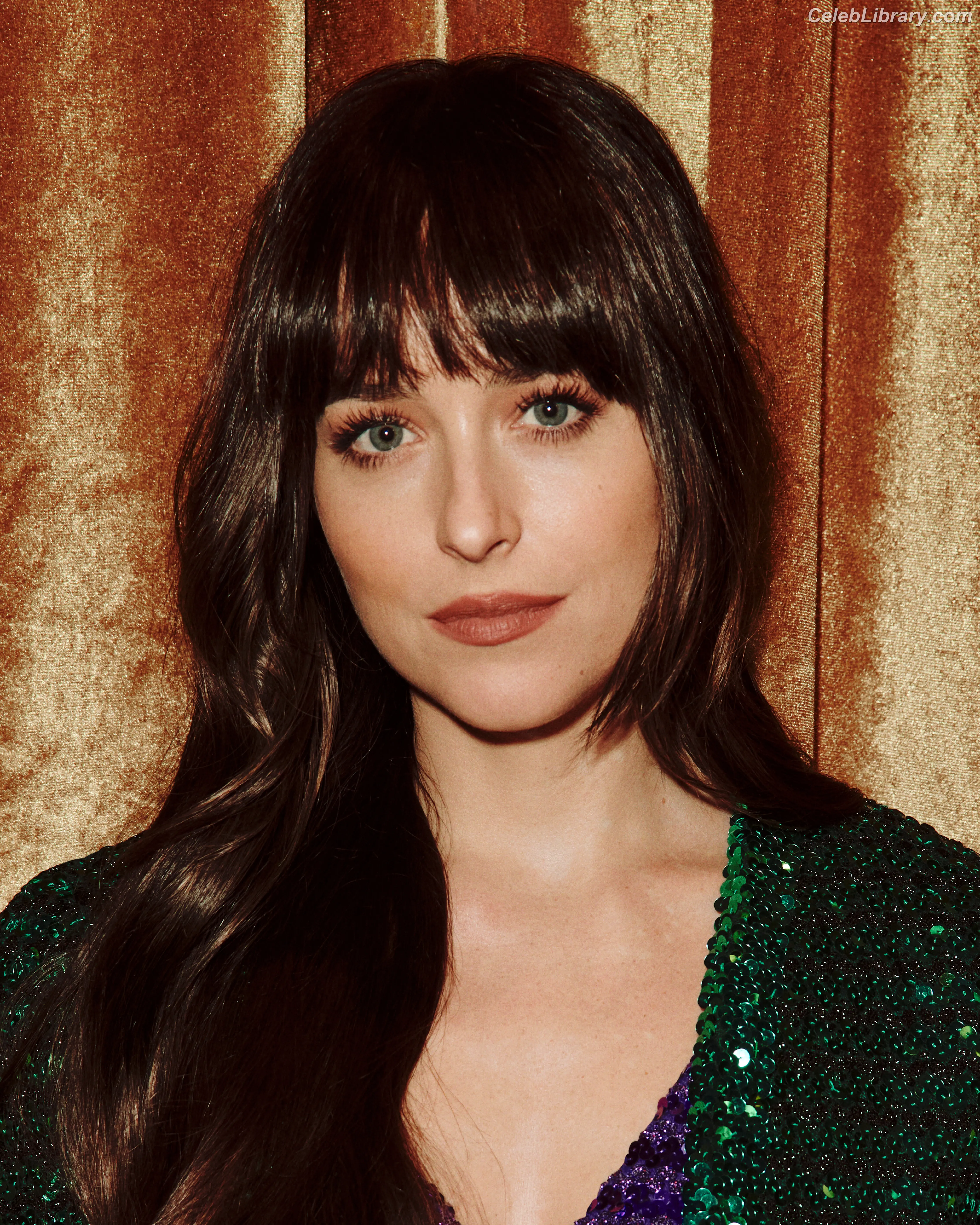 Dakota Johnson photo 17 of 1131