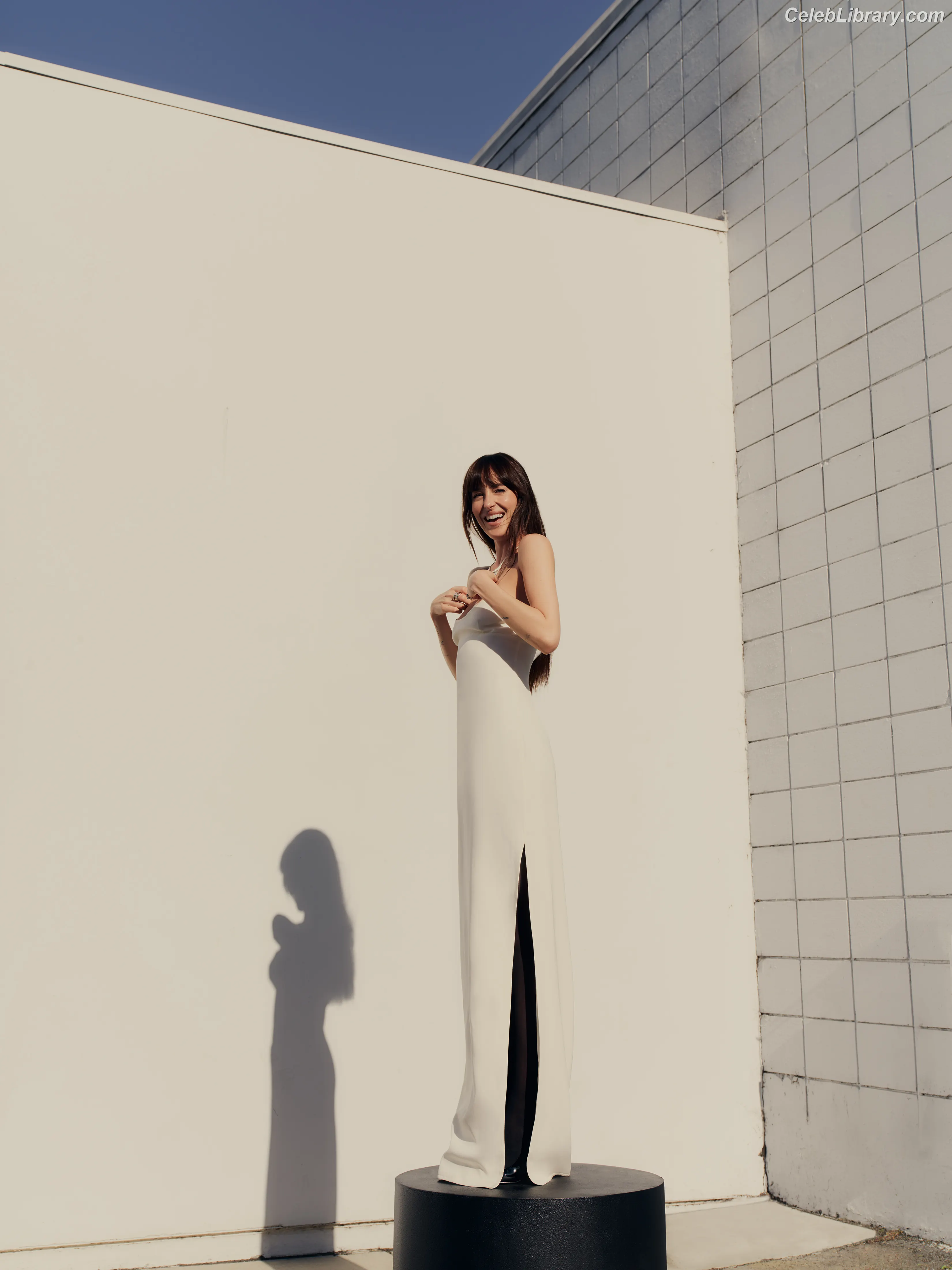 Dakota Johnson photo 18 of 1131