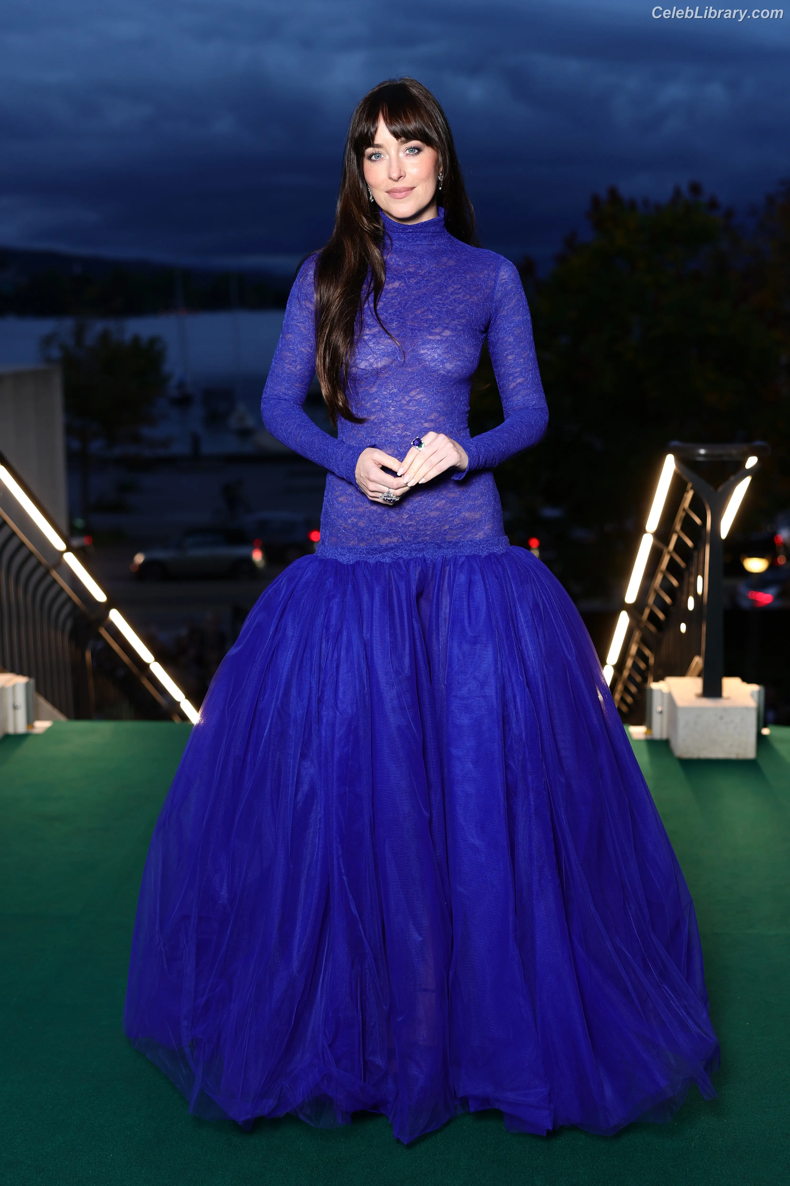 Dakota Johnson photo 11 of 1131