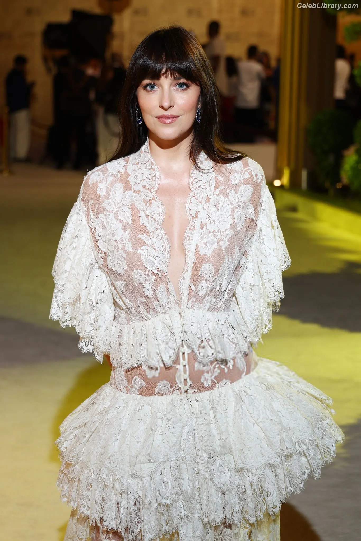 Dakota Johnson photo 24 of 1131