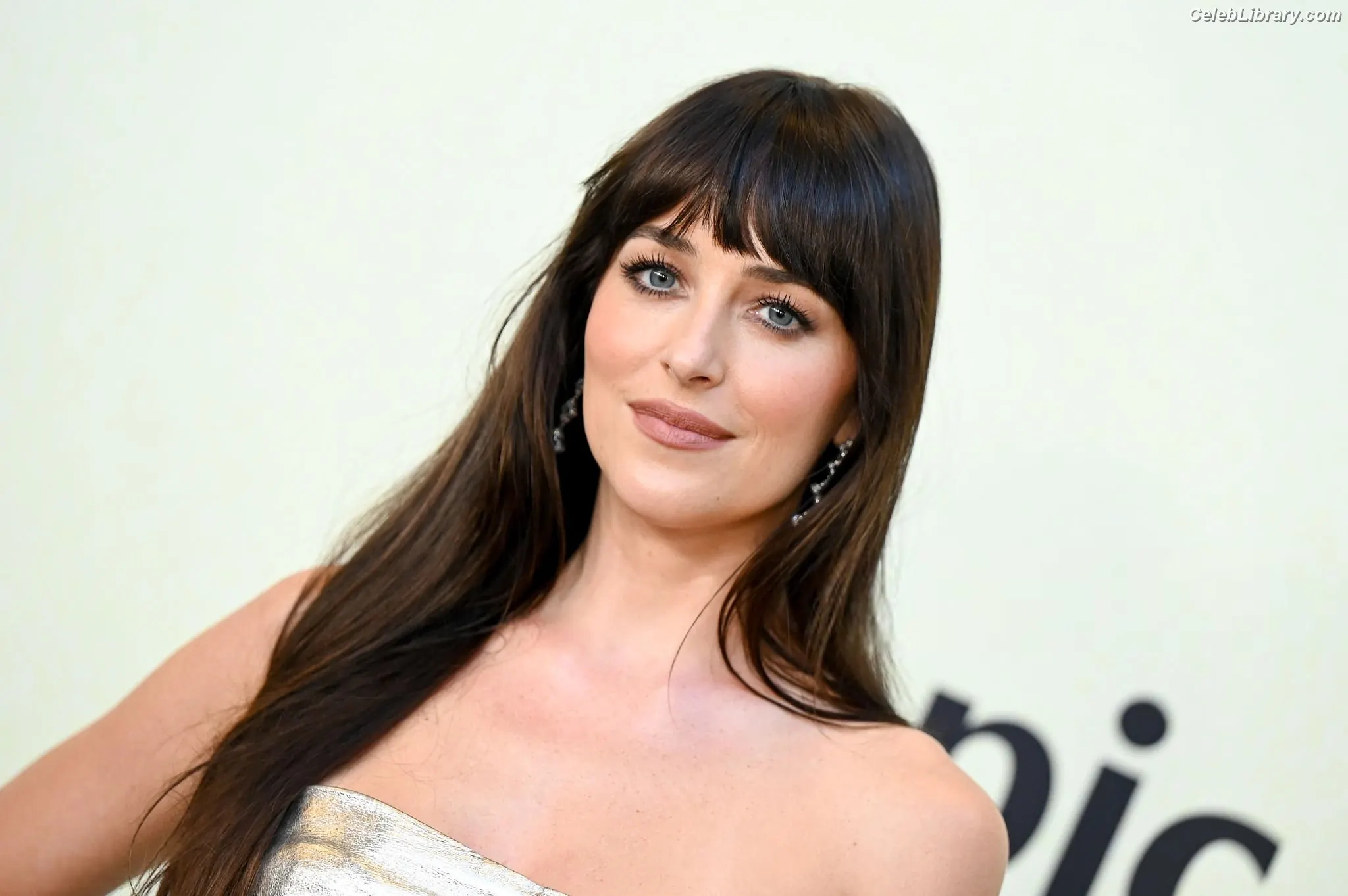 Dakota Johnson photo 18 of 1131