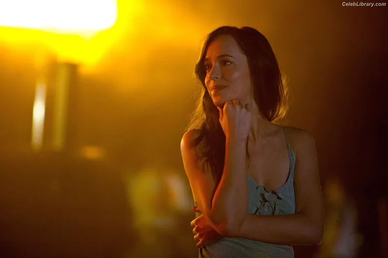Dakota Johnson photo 5 of 1132