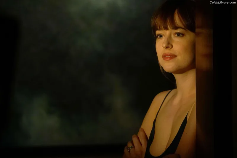 Dakota Johnson photo 1 of 1132