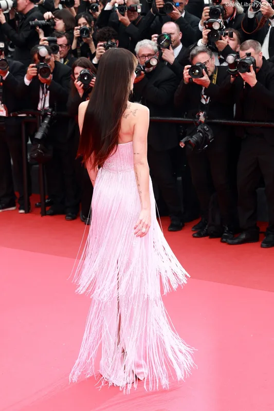 Dakota Johnson photo 23 of 1132