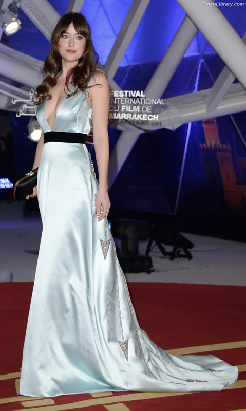Dakota Johnson photo 2 of 1132