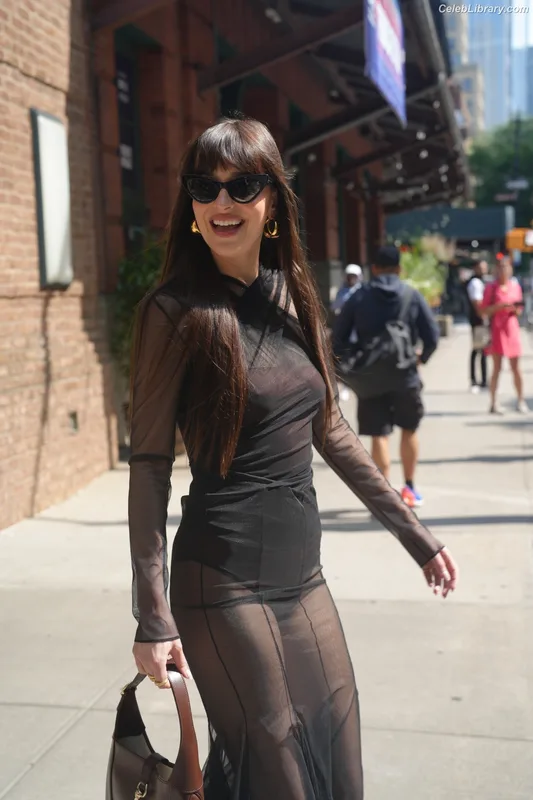 Dakota Johnson photo 1 of 1132