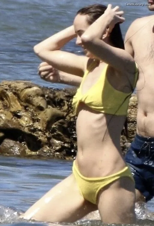 Dakota Johnson photo 5 of 1132