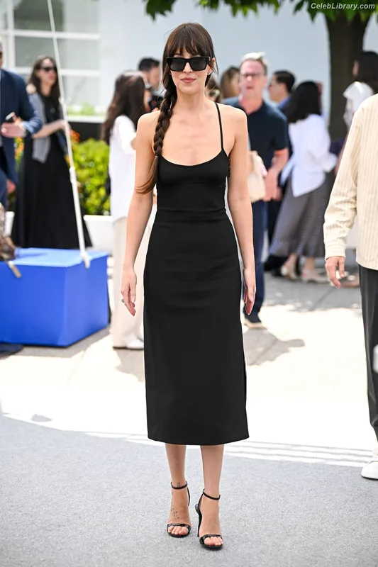 Dakota Johnson photo 1 of 1132