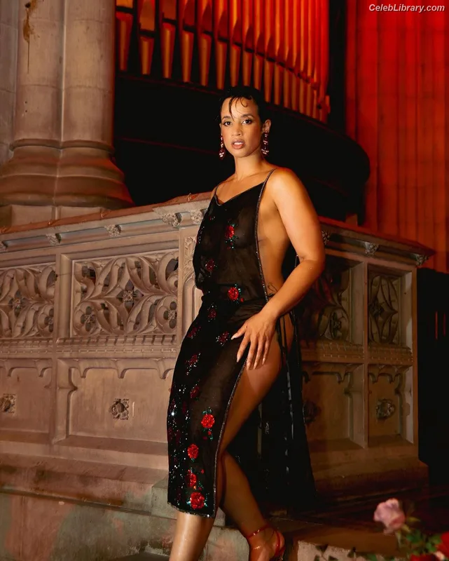 Dascha Polanco photo 13 of 220