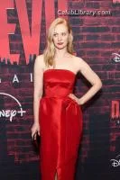 Deborah Ann Woll photo 16 of 165