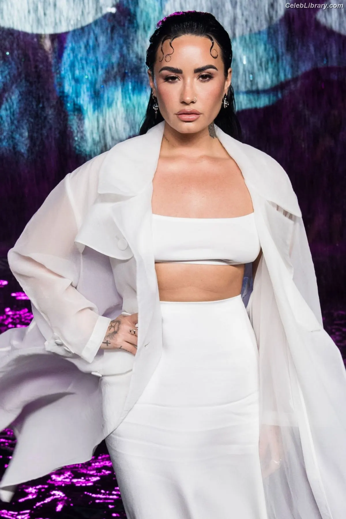 Demi Lovato photo 2 of 1264