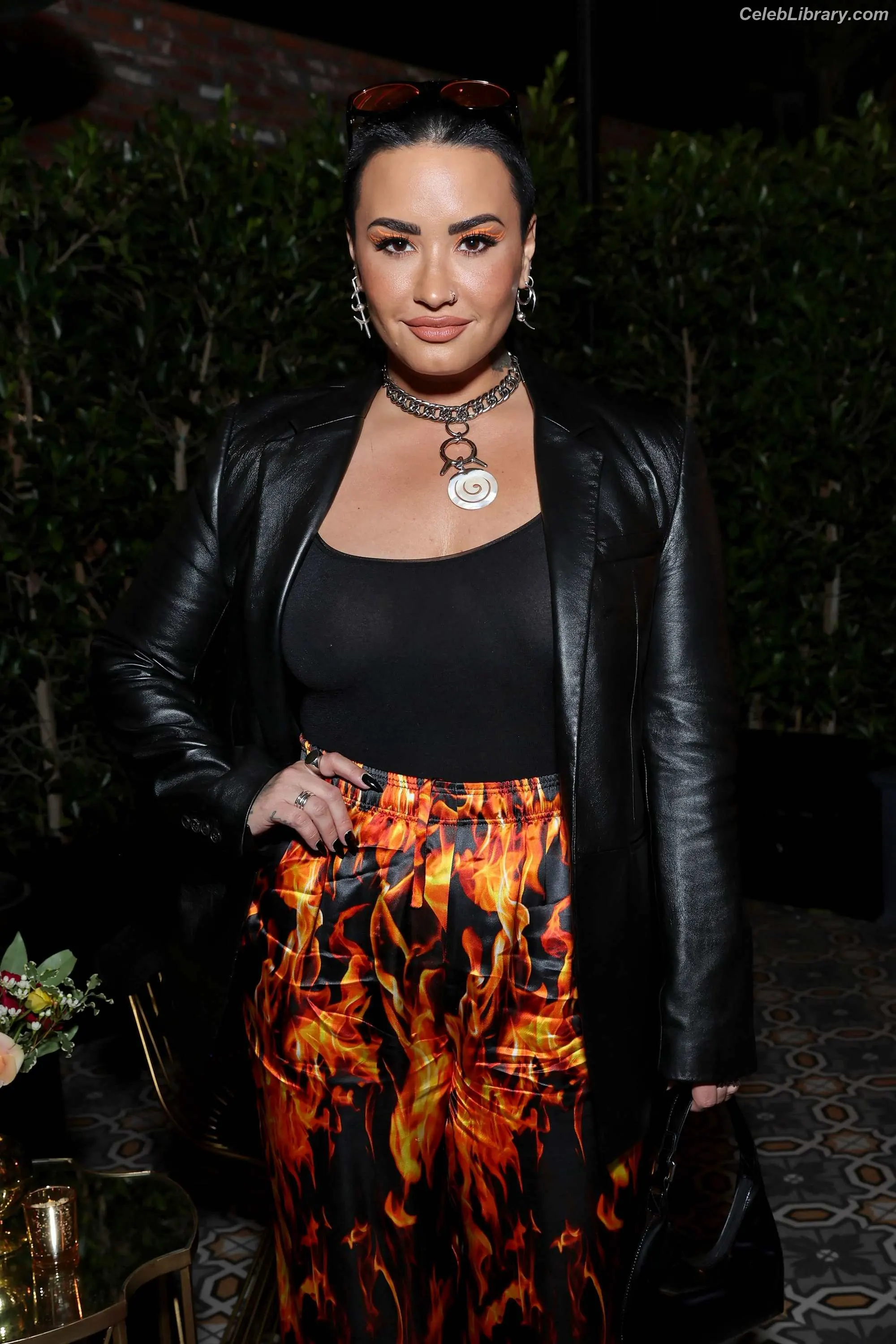 Demi Lovato photo 12 of 1264