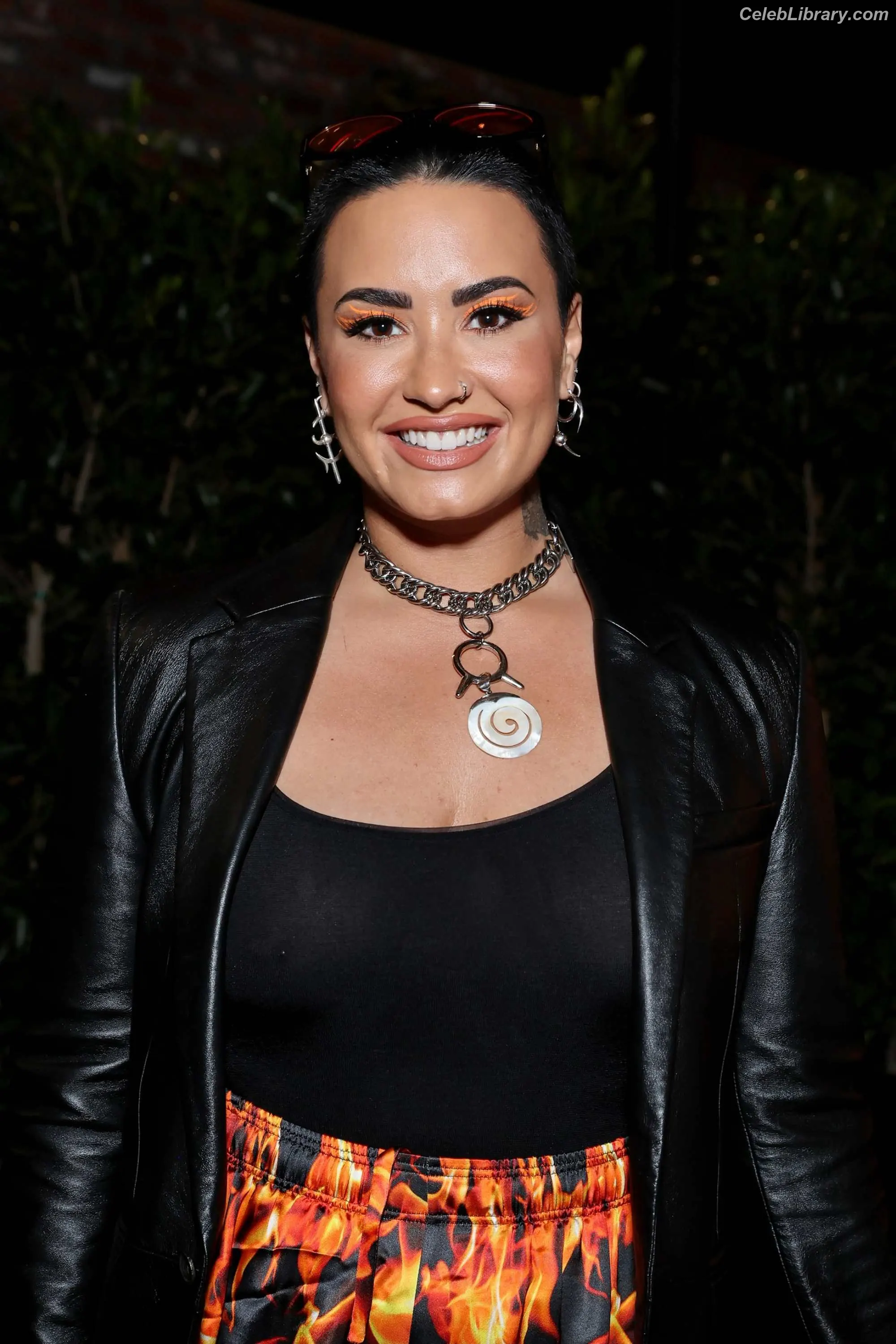 Demi Lovato photo 7 of 1264