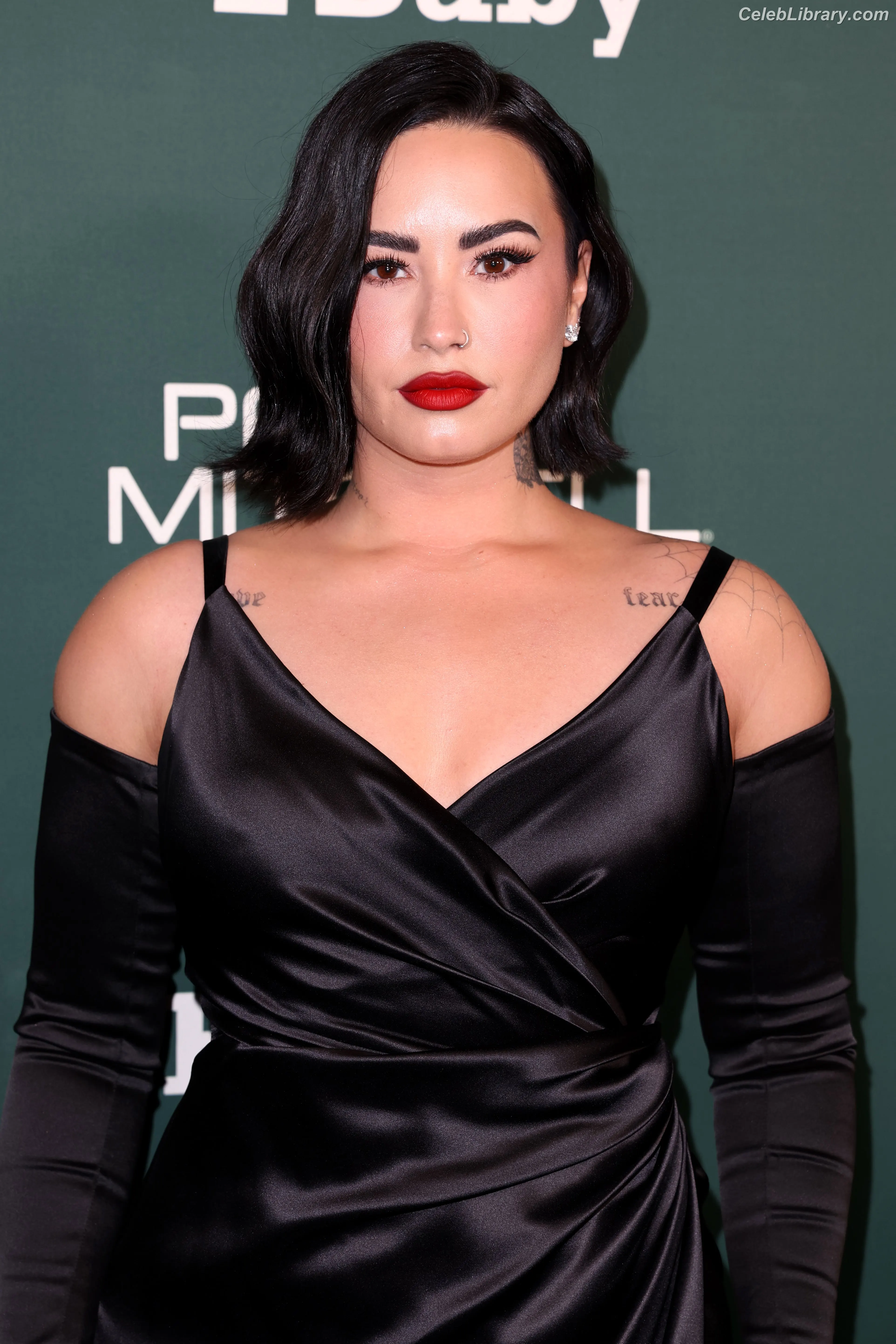 Demi Lovato photo 22 of 1264