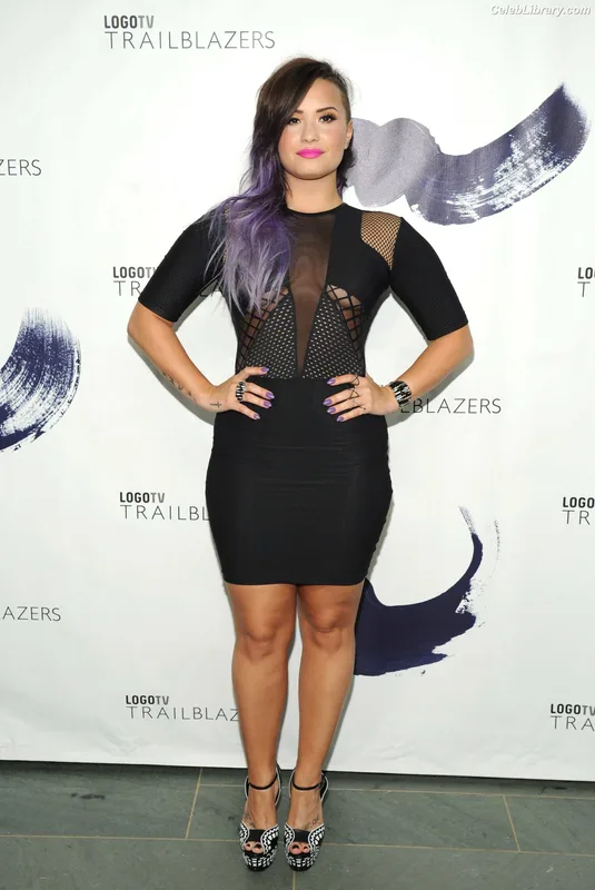 Demi Lovato photo 18 of 1234