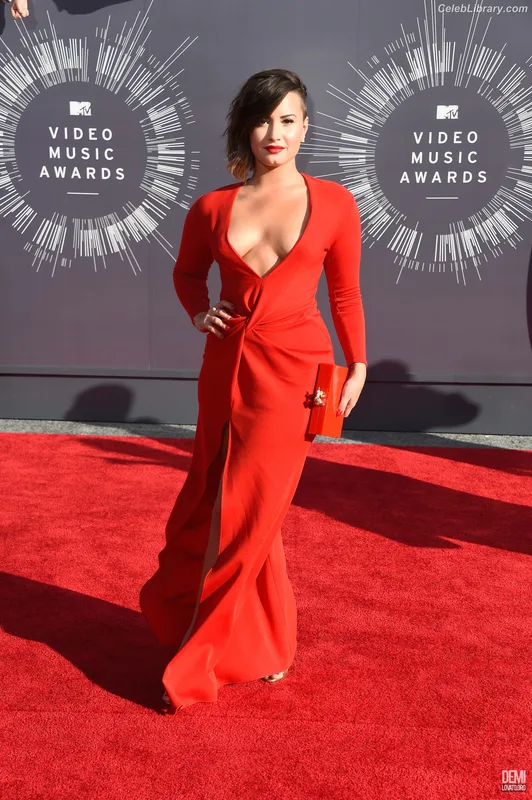 Demi Lovato photo 24 of 1234