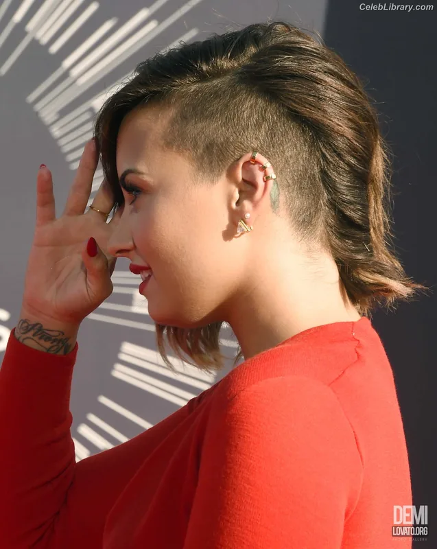 Demi Lovato photo 2 of 1234