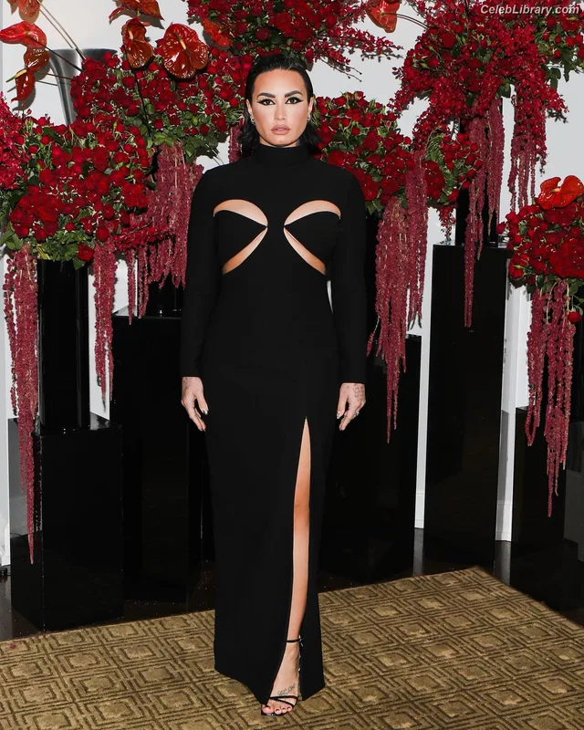 Demi Lovato photo 5 of 1234
