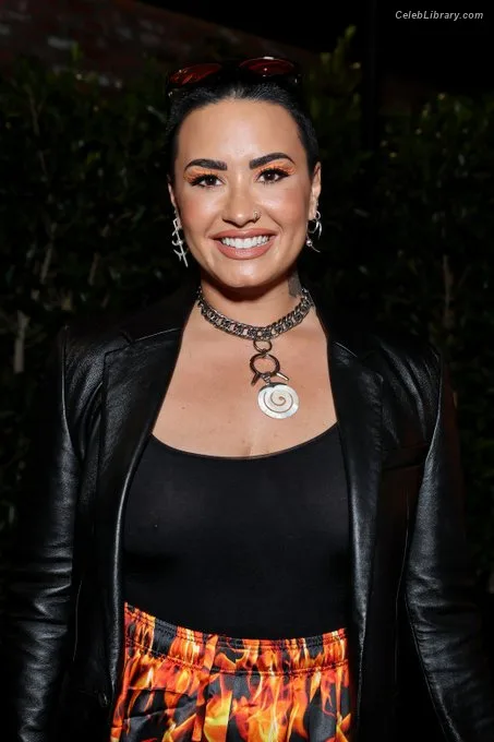Demi Lovato photo 8 of 1234