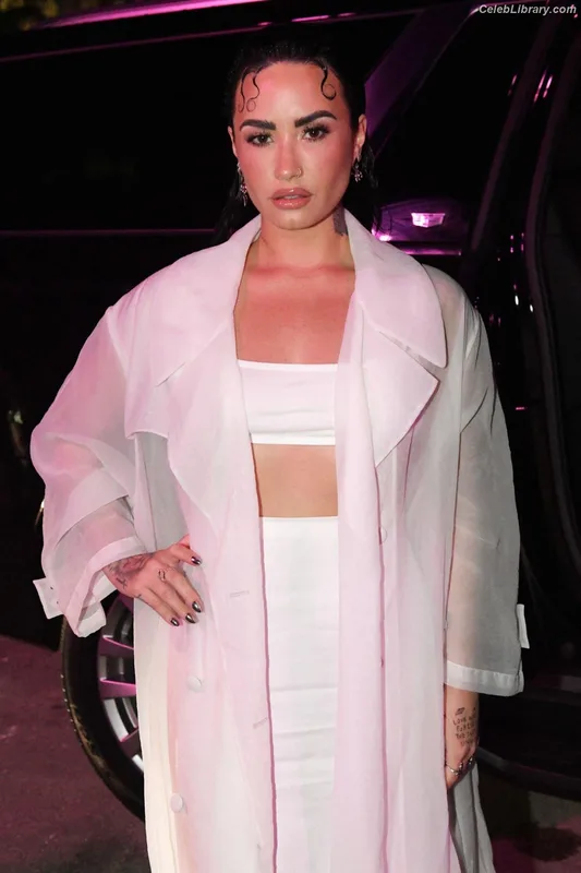 Demi Lovato photo 22 of 1234