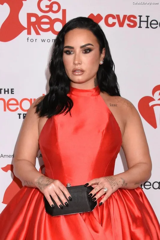 Demi Lovato photo 22 of 1234