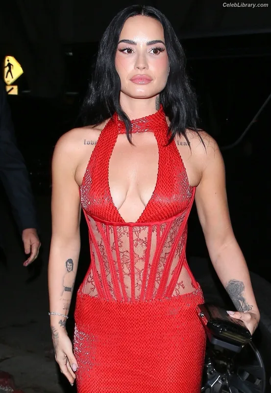 Demi Lovato photo 21 of 1234