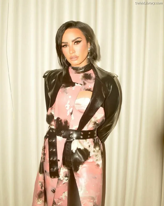Demi Lovato photo 23 of 1234