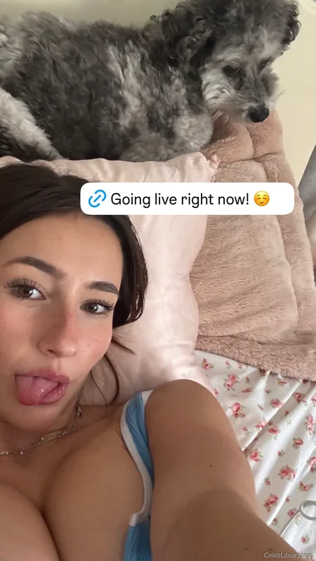 Devon Shae photo 6 of 1337