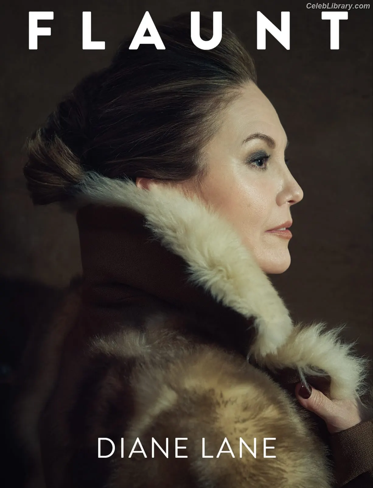 Diane Lane photo 9 of 89