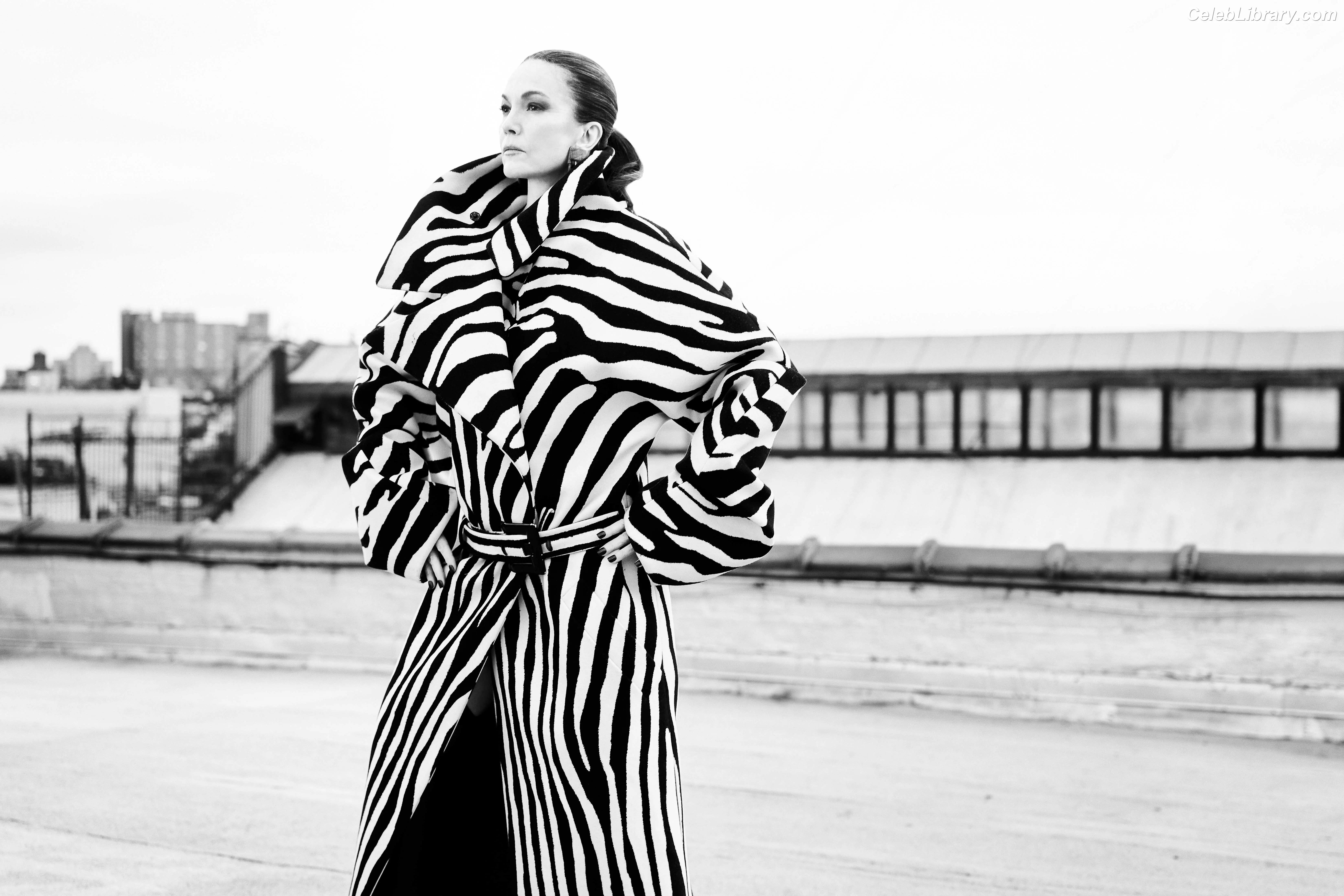 Diane Lane photo 11 of 89