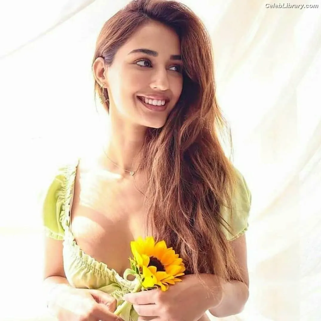 Disha Patani photo 24 of 528