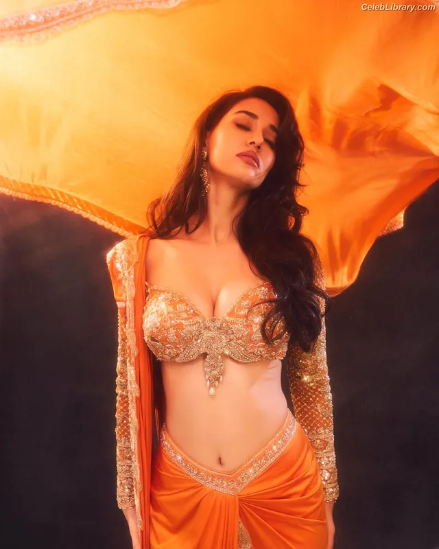 Disha Patani photo 13 of 529