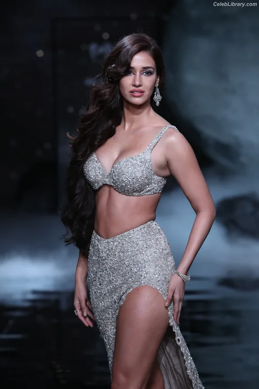 Disha Patani photo 1 of 529