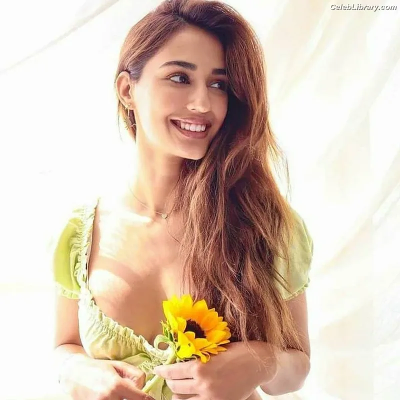Disha Patani photo 24 of 529