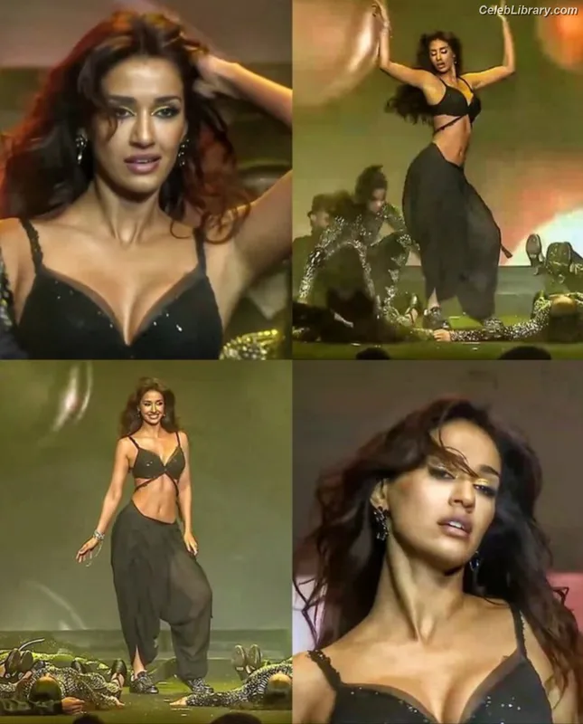 Disha Patani photo 6 of 529