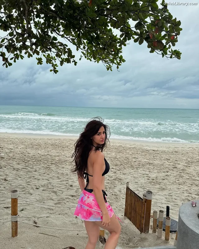 Disha Patani photo 16 of 529