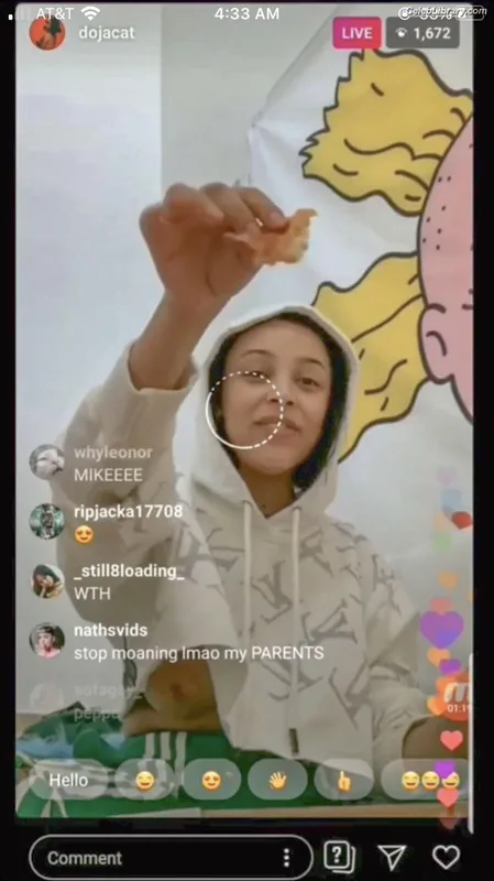 Doja Cat photo 1 of 1960